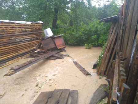 На Закарпатье ливни затопили дороги и дома: люди по колено в воде (видео)
