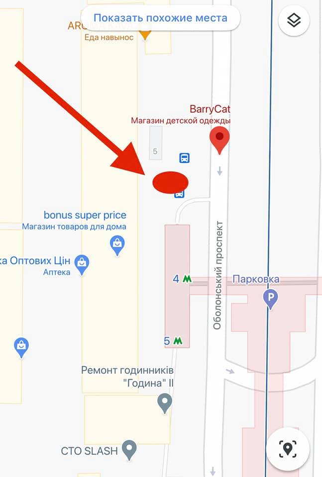 Жители Киева объединились, чтобы помочь бабушке-мастерице со зверушками у метро