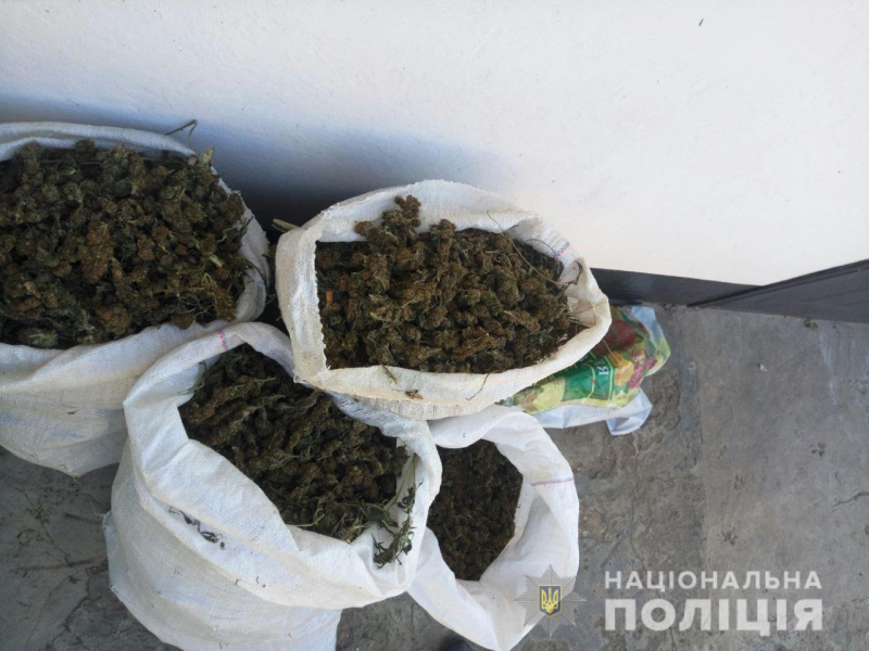 В Херсонской области задержали наркоторговцев с 18 кг марихуаны