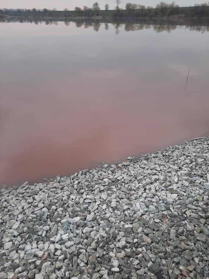 Під Дніпром водойма стала яскраво-червоною від крові загиблих тварин: хто творить свавілля