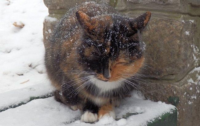 Итоги дня: 18 апреля