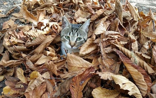 Итоги дня: 21 апреля