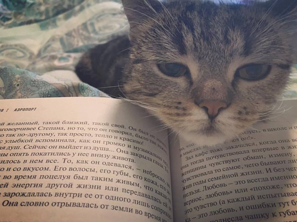 Будущая нардеп от "Слуги народа" и главный антикоррупционер Рады удивила декларацией