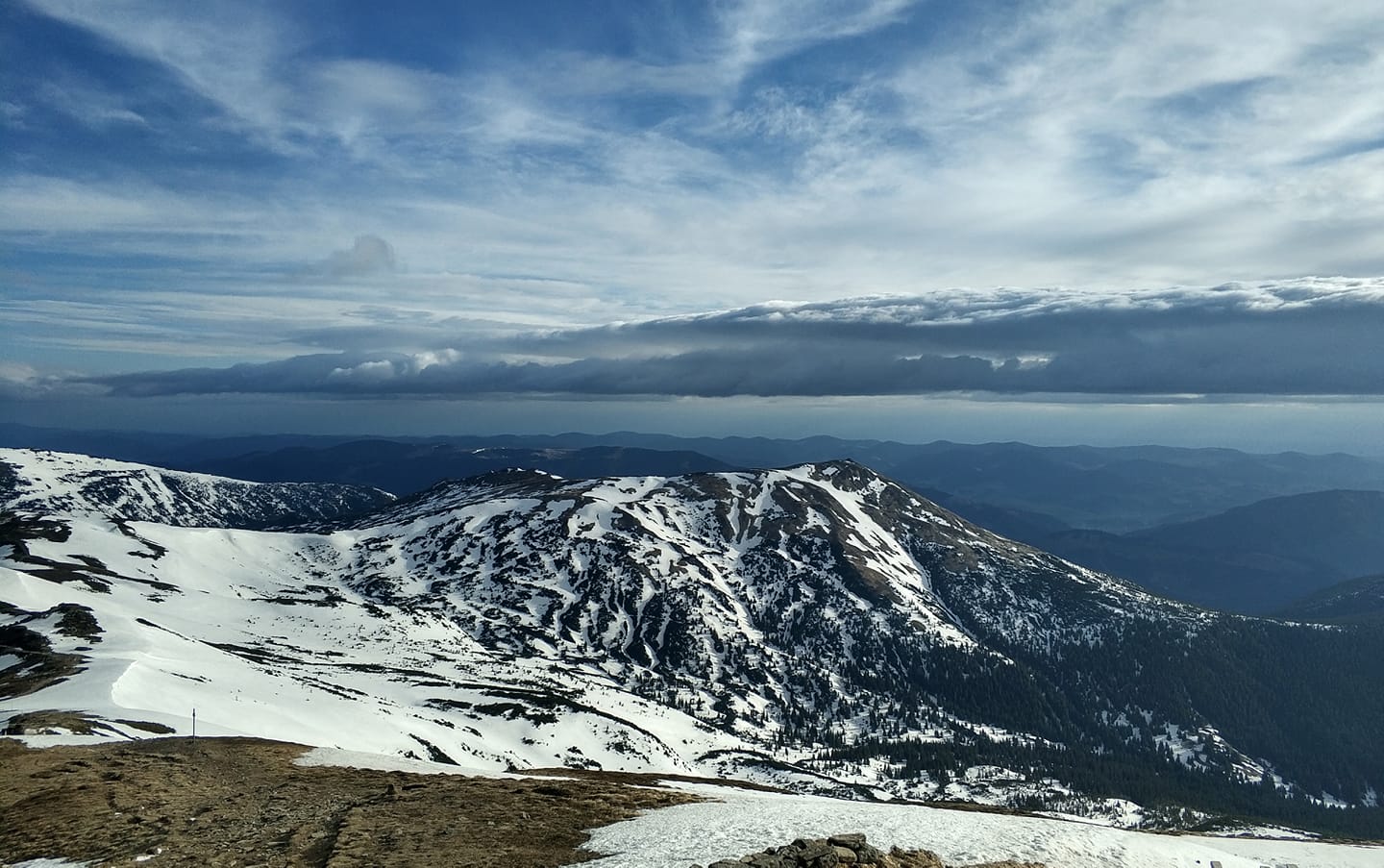 Зима отступает: в Карпатах стартовала настоящая весна (фото)