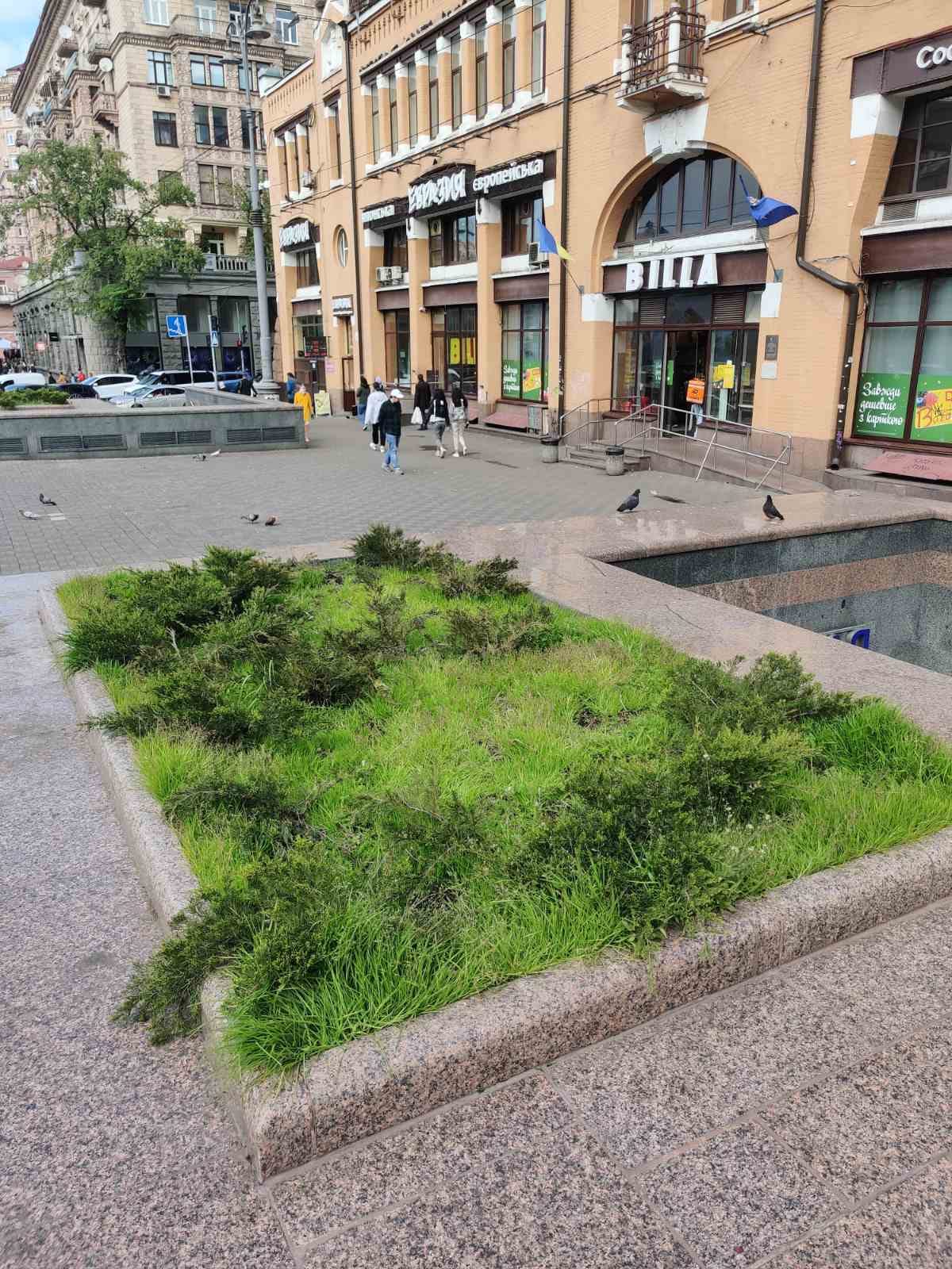 В центре Киева клумбу украсили колючей проволокой (фото)