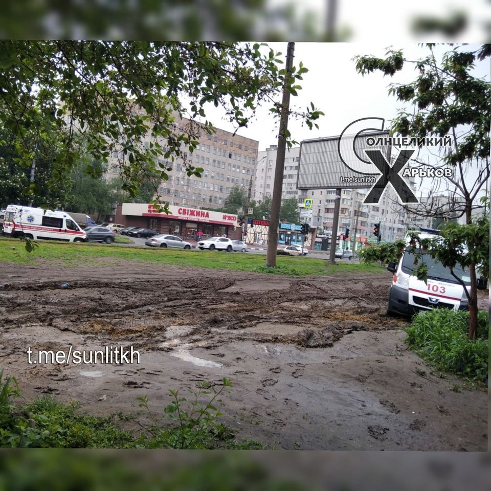 В Харькове скорая застряла в болоте: горожане в ярости (фото)
