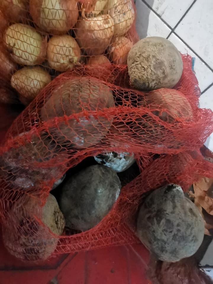 В школах Николаева разразился скандал: детям подсовывали заплесневелые продукты