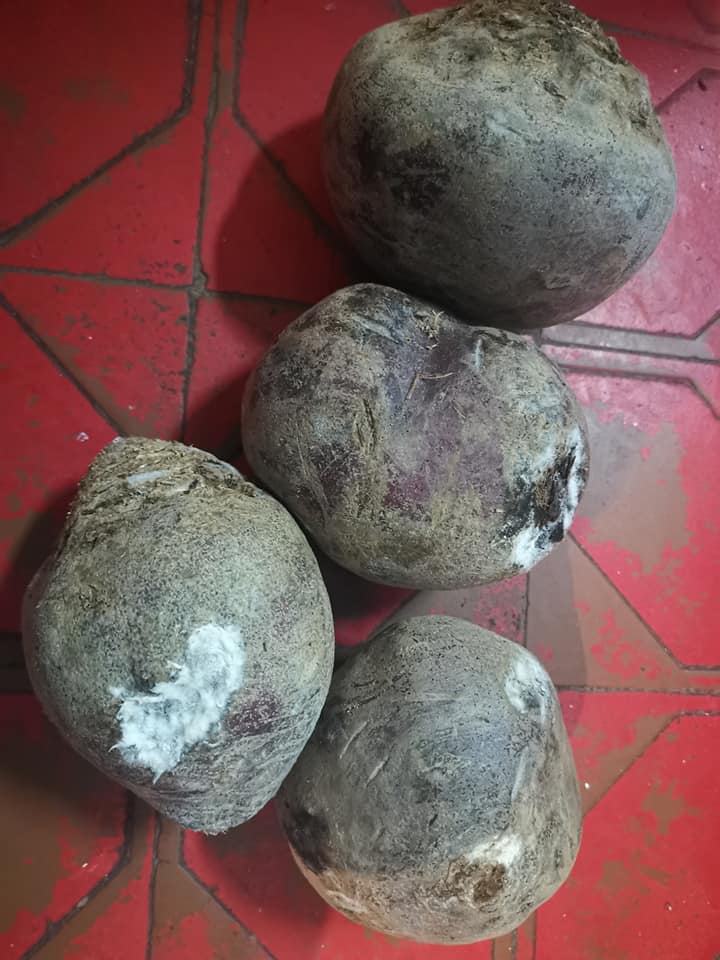 В школах Николаева разразился скандал: детям подсовывали заплесневелые продукты