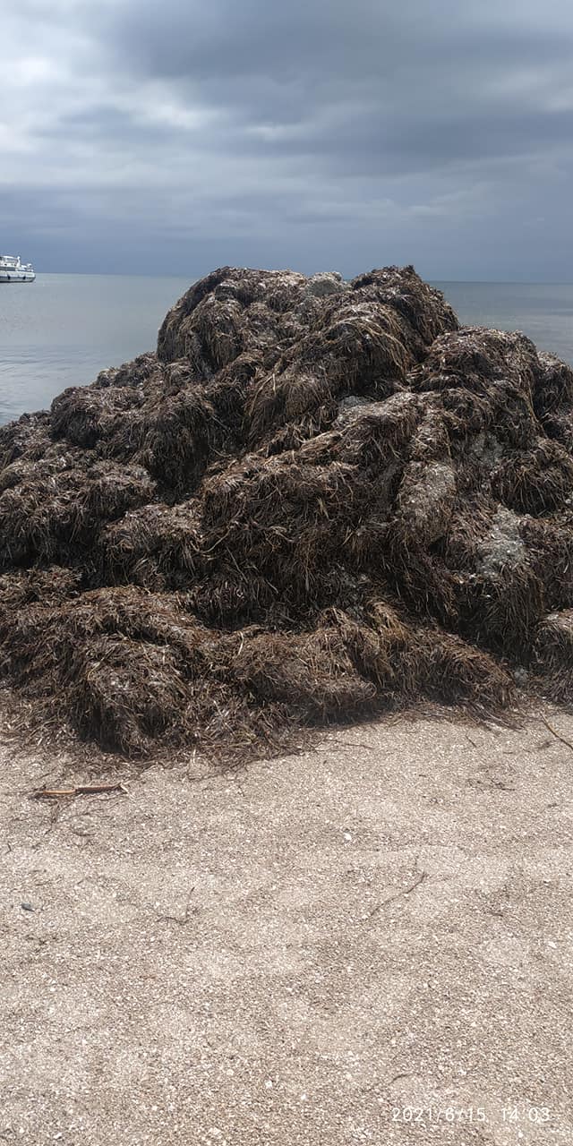 Страшенний сморід і купа водоростей: українці засмучені відпочинком на популярному курорті