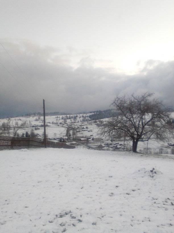 Прикарпатье накрыло майскими сугробами: зимнюю сказку показали на фото