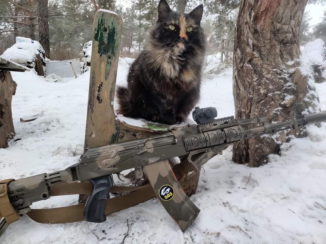 Лохматые вояки: фото верных четвероногих друзей украинских бойцов на передовой