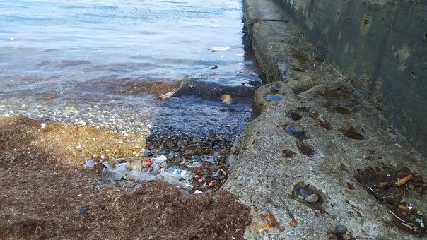 Пляжи пустые, а цены взлетели: появились фото проваленного "сезона" в Крыму