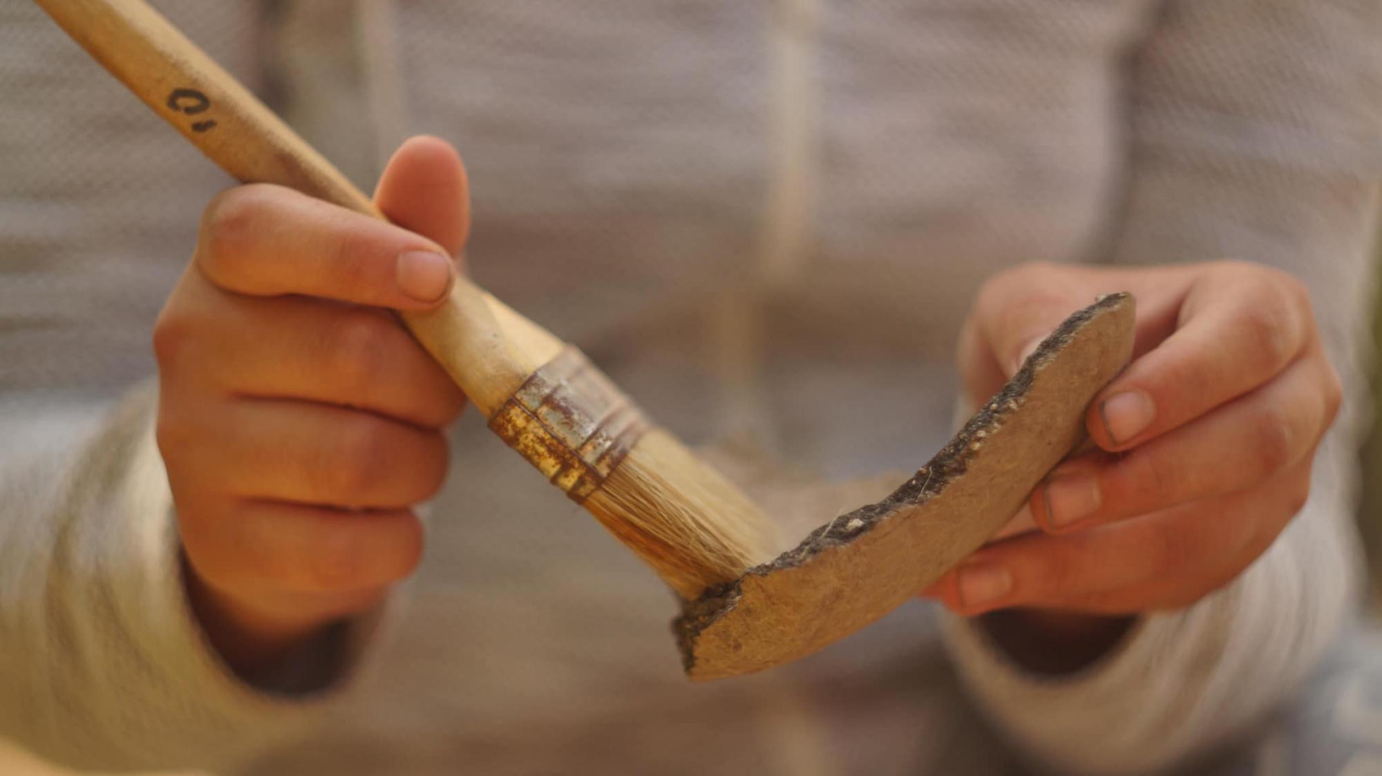 Археологи нашли на легендарной Мамай-Горе культовые скифские ямы IV века до н.э. (фото)