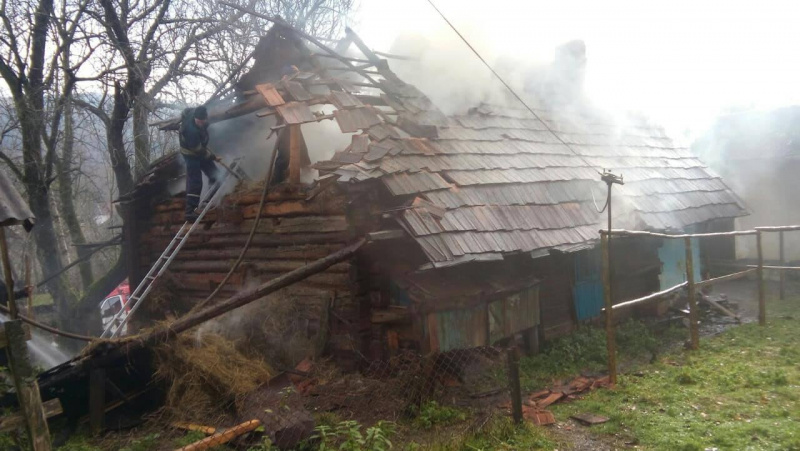 В Закарпатье на пожаре жилого дома погибли 2 человека