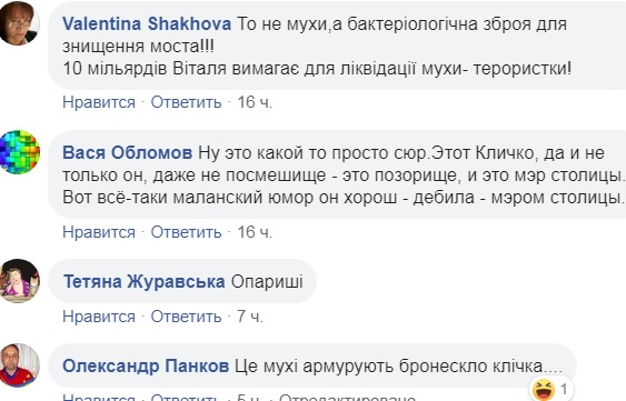 Новый скандал с "мостом Кличко": внутри стекол завелись мухи (видео)