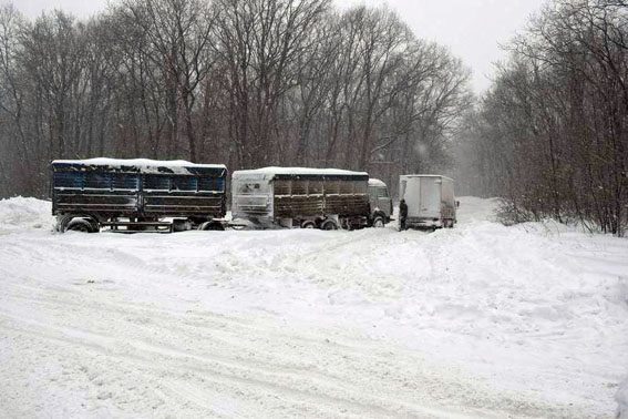 Снігопади в Україні: на трасі Київ-Харків утворились затори