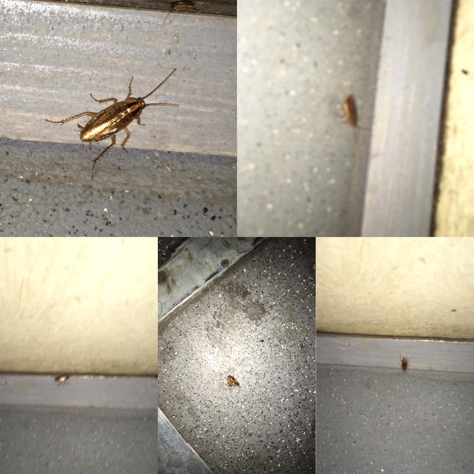 Укрзализныця снова повергла пассажиров в шок: лучше увидеть своими глазами