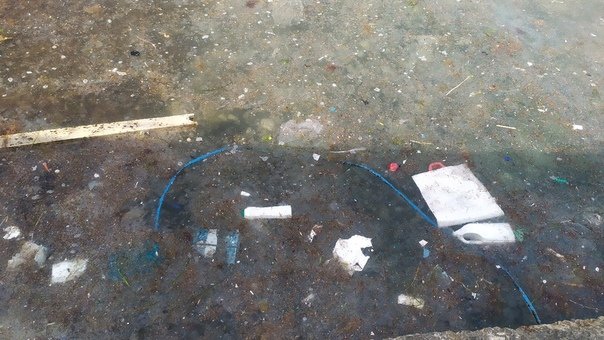 Пляжи пустые, а цены взлетели: появились фото проваленного "сезона" в Крыму