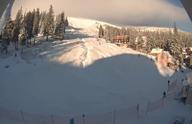 Карпати заморозило і засипало снігом: фото зимової казки в горах