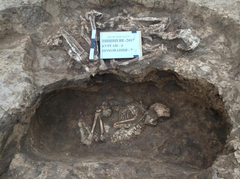 В Украине обнаружили уникальные захоронения, которым шесть тысяч лет (фото)