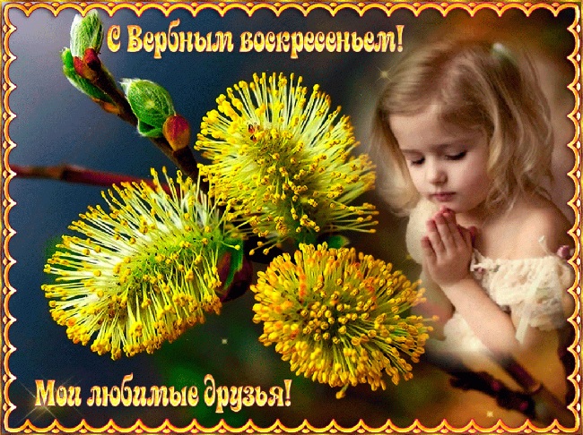 Вербное воскресенье: самые красивые поздравления в картинках и открытках