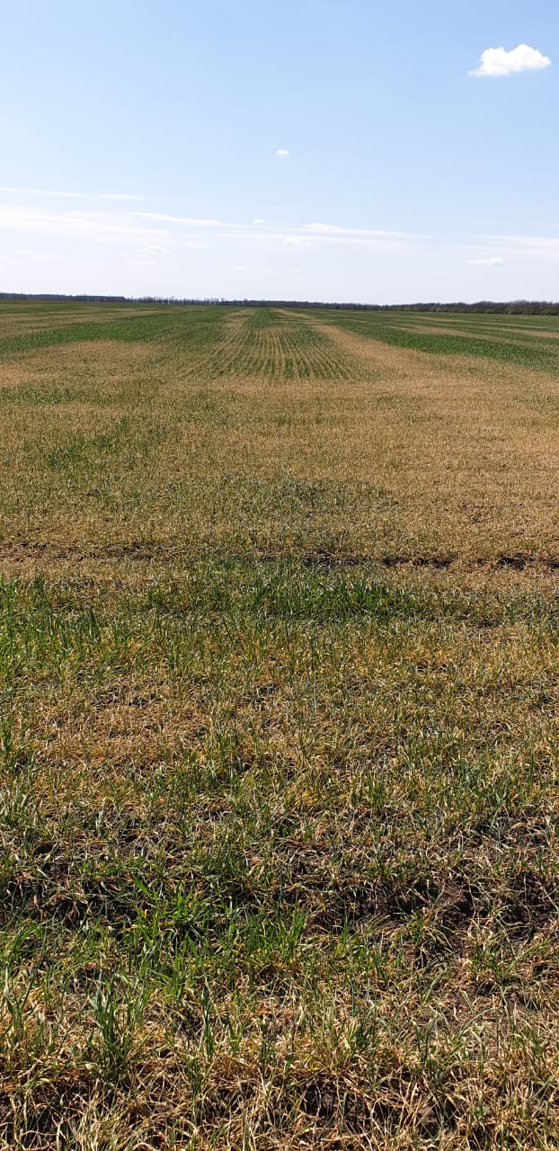 Будет голод: под Одессой люди молят о помощи