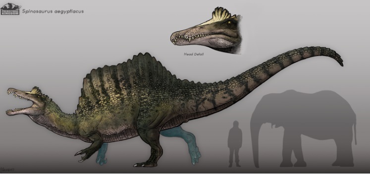 Первое свидетельство жизни динозавра в воде: открытие ученых может перевернуть мир