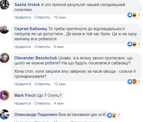 Під Києвом дівчата вирішили приготувати їжу на "вічному вогні": фото "героїнь"