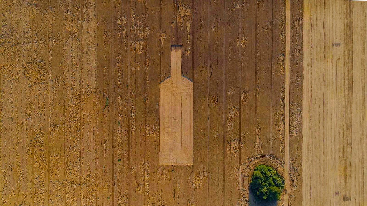 В поле под Киевом появился загадочный рисунок: его видно из космоса