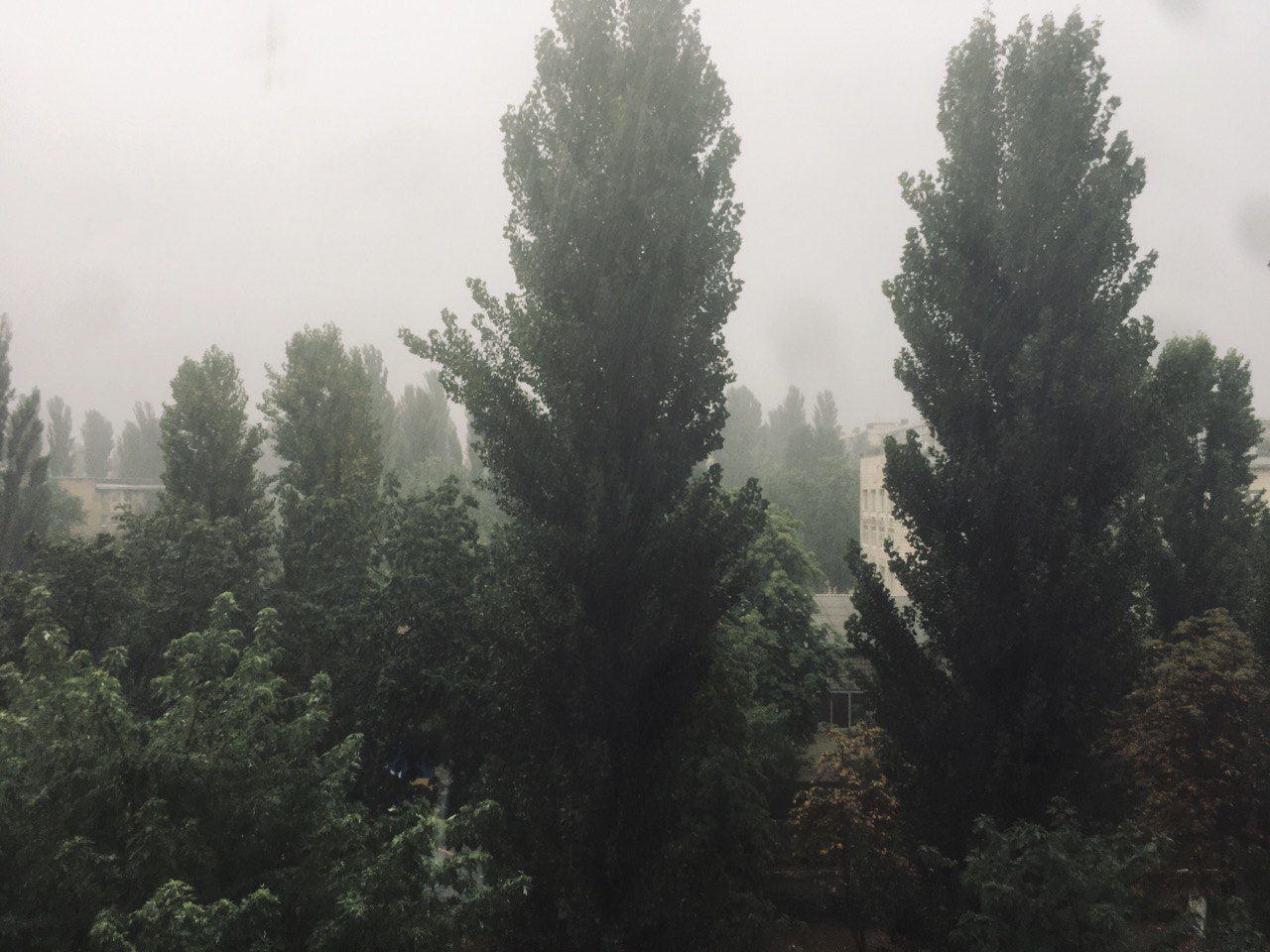 Киев накрыло мощными ливнями: город стал в пробках