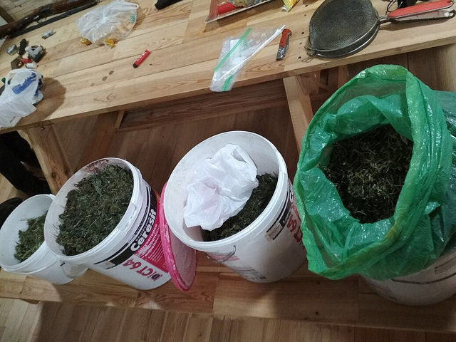 СБУ затримала організаторів поставок кокаїну