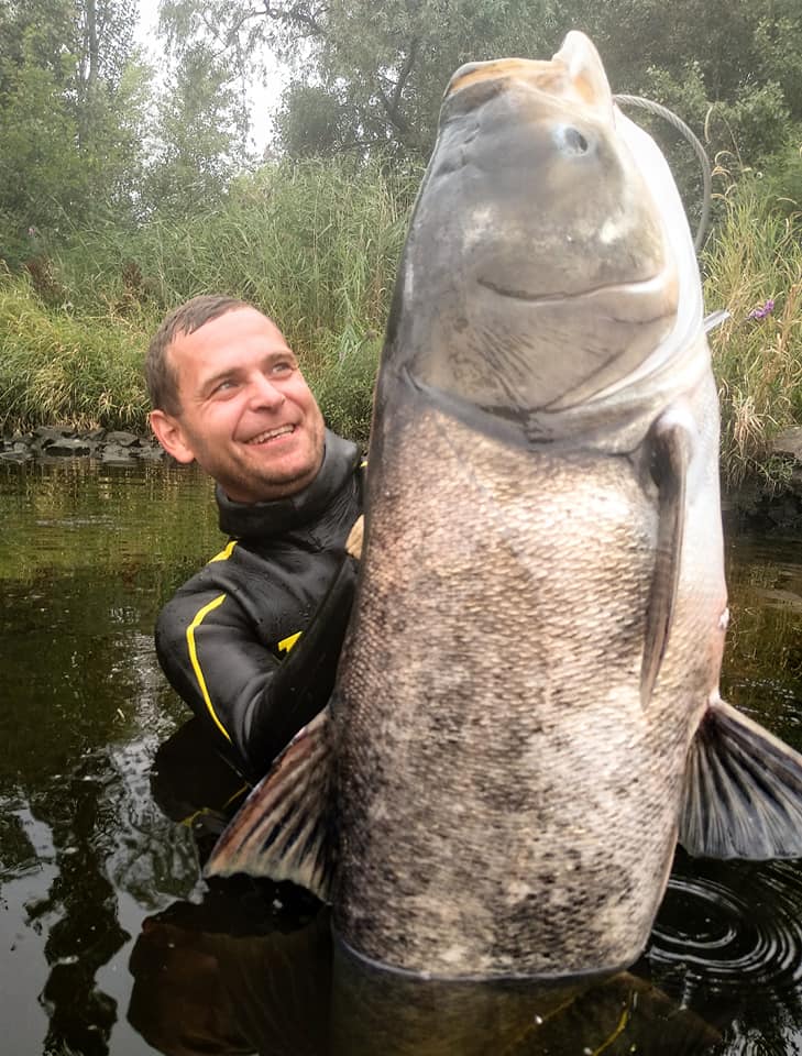 У Дніпрі рибак похвалився незвичайним уловом: показав товстолобика з людський зріст