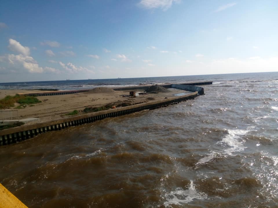 В Одессе море поменяло цвет, а ночью светится: названа причина феномена