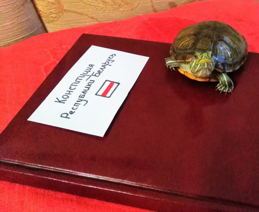 Если диктатор, то только такой: белорусы массово инаугурируют котов, собак и мышей (фото)