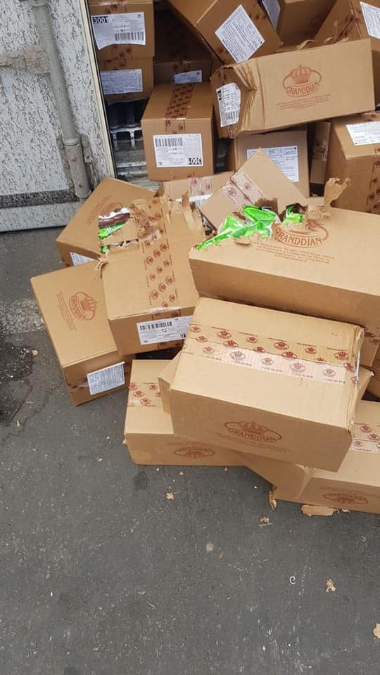 Украинский кот добрался до Израиля в контейнере с конфетами и стал звездой: как это получилось