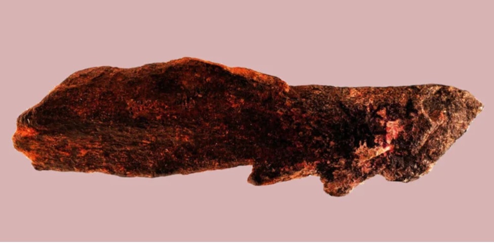 Удивительная находка: ученые нашли артефакты предков современных людей