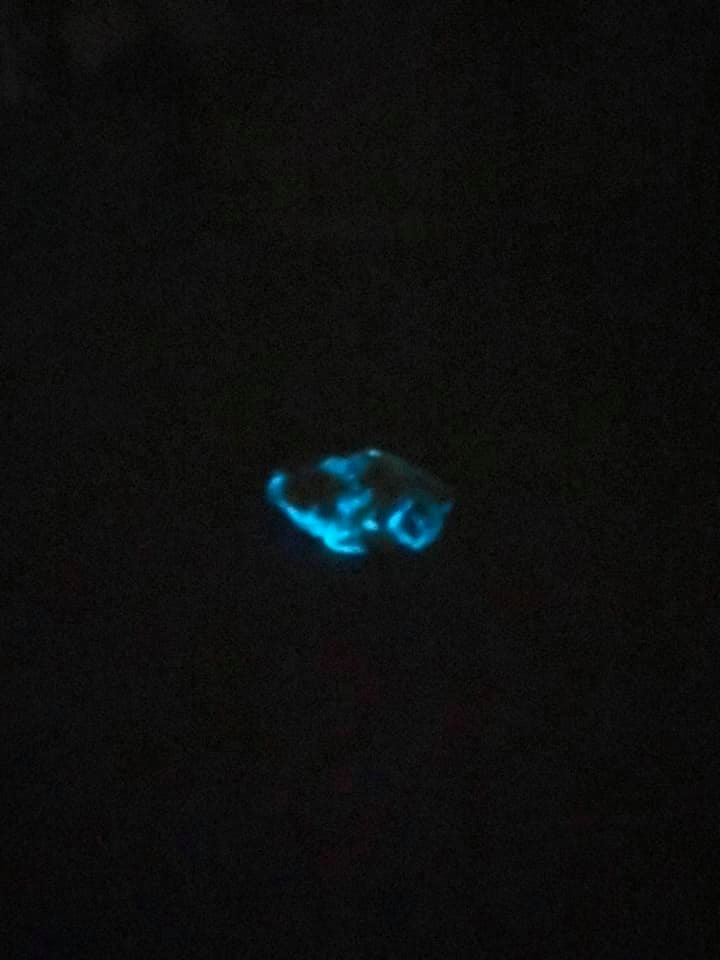 Украинка купила курятину, которая начала светиться в темноте (фото)