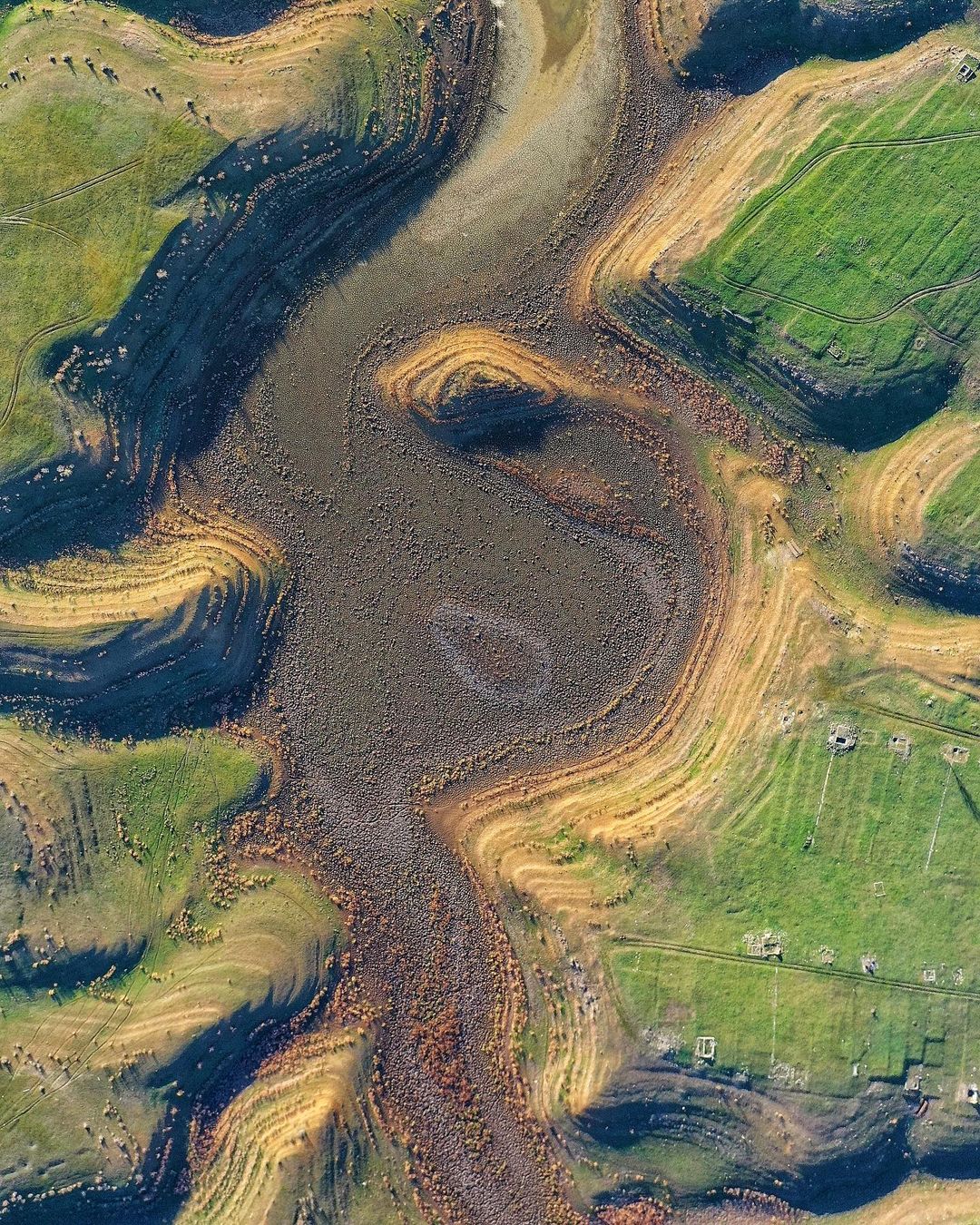 В Крыму высохло большое пресное озеро: на дне растут деревья