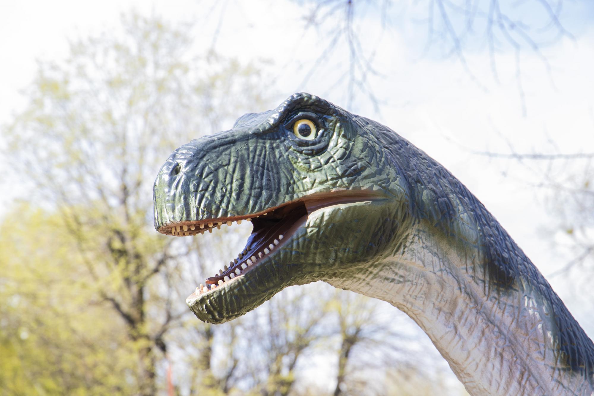 В Киеве появится самый большой парк с динозаврами в Украине: названа дата открытия