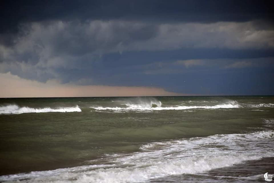 На популярном украинском курорте после дождей "зацвело" море: экологи бьют тревогу (фото)