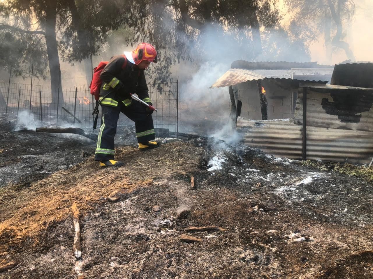 Украинцы спасли от страшных пожаров в Греции жилой дом (фото)