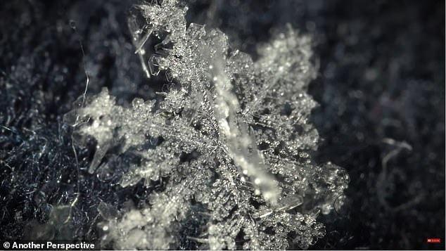 Образование снежинок показали в сказочном видео: кадры вас заворожат