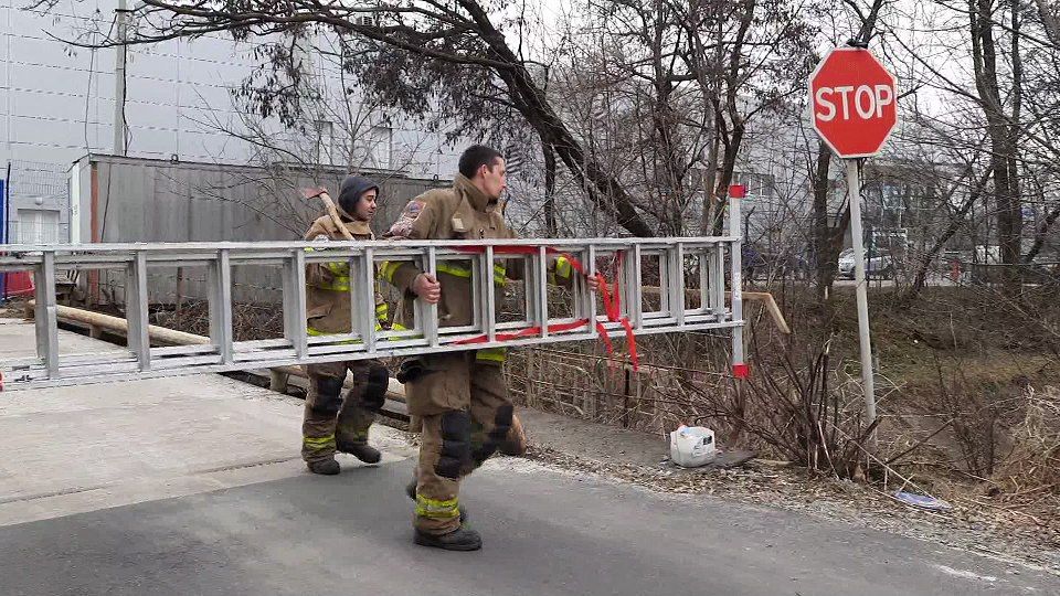 Под Киевом спасли енота Кирюшу, который взобрался на 12-метровое дерево: как это было (фото)