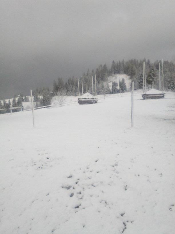 Прикарпатье накрыло майскими сугробами: зимнюю сказку показали на фото