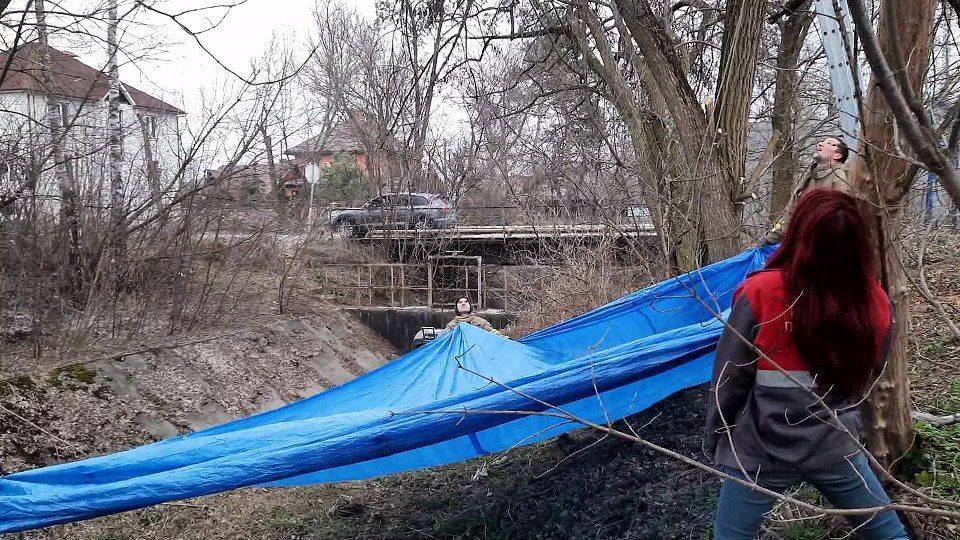 Под Киевом спасли енота Кирюшу, который взобрался на 12-метровое дерево: как это было (фото)