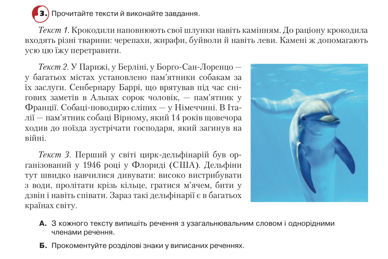 Букварь для первоклашек попал в скандал из-за цирка с животными: разрушает психику детей