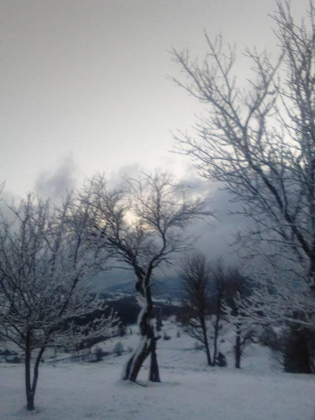 Прикарпатье накрыло майскими сугробами: зимнюю сказку показали на фото