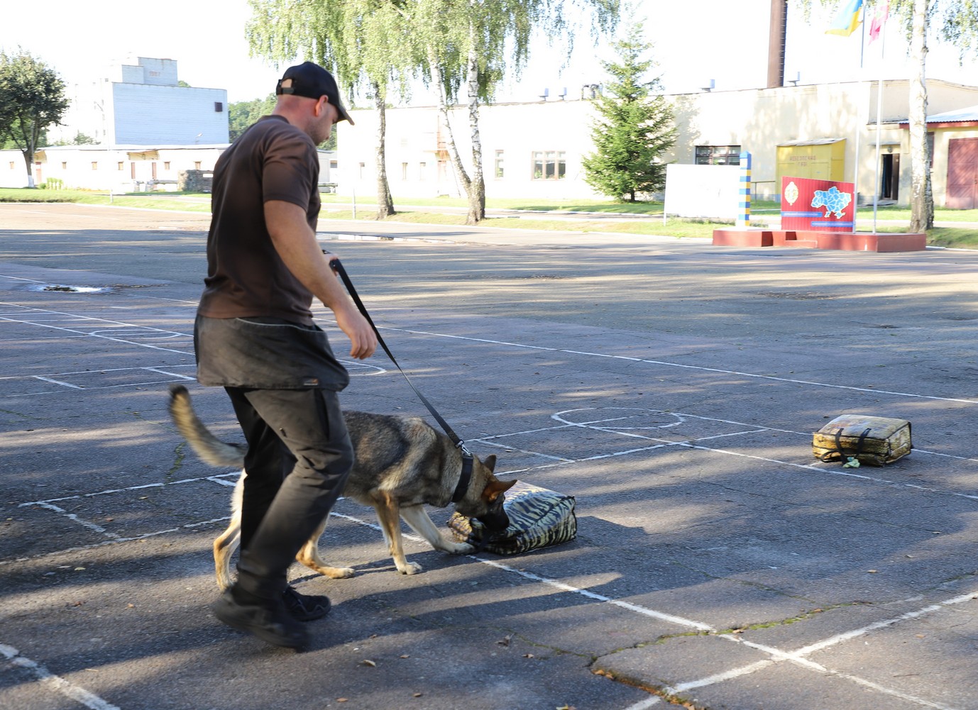 Зеленського будуть охороняти чотирилапі сек'юріті: як їх навчають (фото)