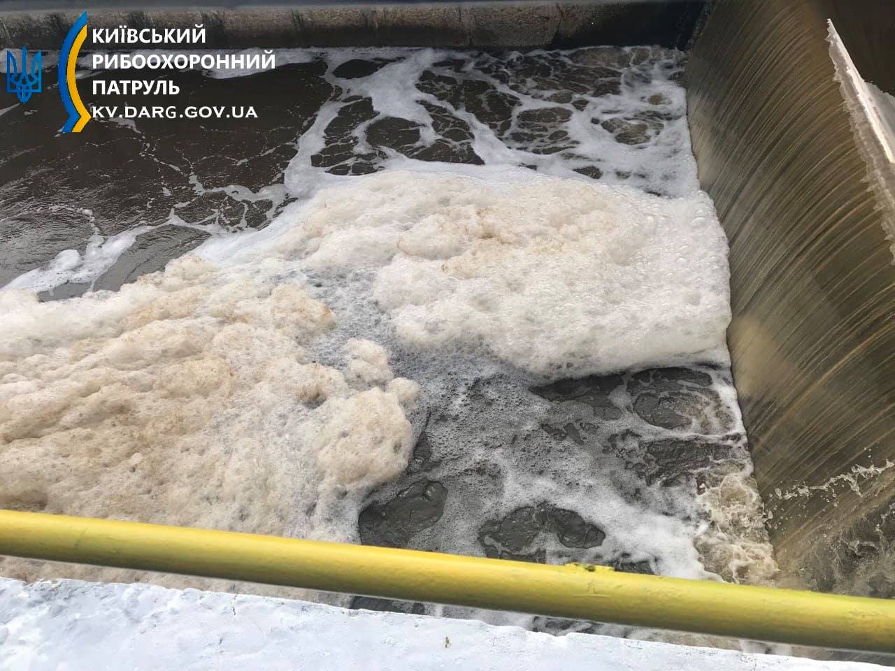 Под Киевом река превратилась в коричневую жижу с мертвой рыбой: фото экокатастрофы