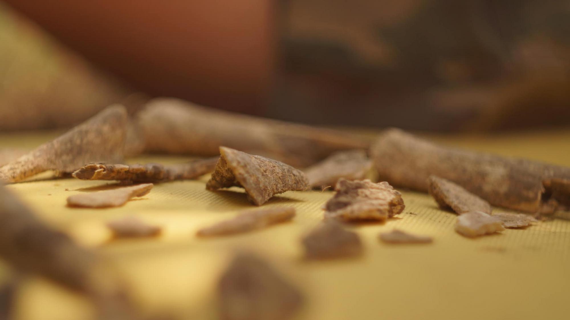 Археологи нашли на легендарной Мамай-Горе культовые скифские ямы IV века до н.э. (фото)